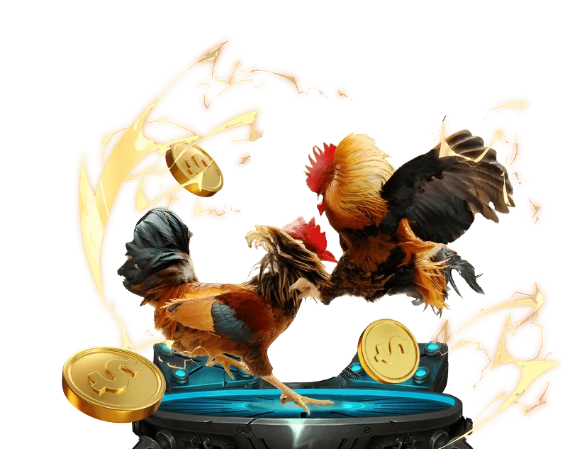 Đá Gà Thomo C1 Trực Tuyến